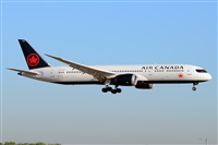 Miguel A. gueda Rguez.  (CANARY ISLANDS SPOTTING). Click to see full size photo