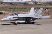 Alfonso Sols - Asociacin Canary Islands Spotting. Click to see full size photo