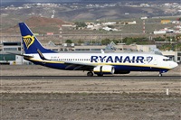 ©Alfonso Solís - Asociación Canary Islands Spotting. Click to see full size photo ©Alfonso Solís - Asociación Canary Islands Spotting. Click to see full size photo