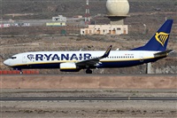 ©Alfonso Solís - Asociación Canary Islands Spotting. Click to see full size photo ©Alfonso Solís - Asociación Canary Islands Spotting. Click to see full size photo