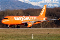 La Roche Spotters. Click to see full size photo