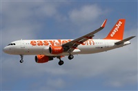 Alfonso Sols - Asociacin Canary Islands Spotting. Click to see full size photo