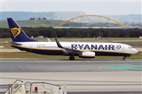 Nacho Rodriguez - Canary Islands Spotting. Click to see full size photo