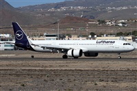 Alfonso Sols - Asociacin Canary Islands Spotting. Click to see full size photo