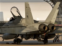 EC-ISM. Click to see full size photo