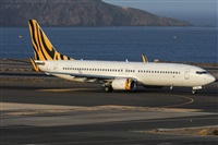 ©Adolfo Bento - Gran Canaria Spotters. Click to see full size photo ©Adolfo Bento - Gran Canaria Spotters. Click to see full size photo