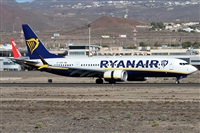 Alfonso Sols - Asociacin Canary Islands Spotting. Haz click para ampliar