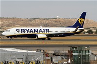 Alfonso Sols - Asociacin Canary Islands Spotting. Click to see full size photo