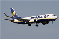Alfonso Sols - Asociacin Canary Islands Spotting. Click to see full size photo
