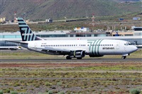 Miguel A. gueda Rguez.  (CANARY ISLANDS SPOTTING). Click to see full size photo