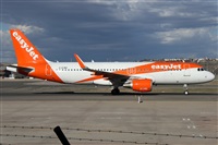 ©Alfonso Solís - Asociación Canary Islands Spotting. Click to see full size photo ©Alfonso Solís - Asociación Canary Islands Spotting. Click to see full size photo