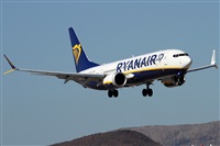 ©Alfonso Solís - Asociación Canary Islands Spotting. Click to see full size photo ©Alfonso Solís - Asociación Canary Islands Spotting. Click to see full size photo