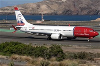 ©Adolfo Bento - Gran Canaria Spotters. Click to see full size photo ©Adolfo Bento - Gran Canaria Spotters. Click to see full size photo
