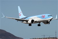 ©Alfonso Solís - Asociación Canary Islands Spotting. Click to see full size photo ©Alfonso Solís - Asociación Canary Islands Spotting. Click to see full size photo