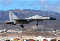 ©Alejandro H.L - Gran Canaria Spotters. Click to see full size photo ©Alejandro H.L - Gran Canaria Spotters. Click to see full size photo