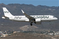 Adolfo Bento - Gran Canaria Spotters. Click to see full size photo