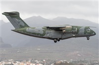 ©Adolfo Bento - Gran Canaria Spotters. Click to see full size photo ©Adolfo Bento - Gran Canaria Spotters. Click to see full size photo