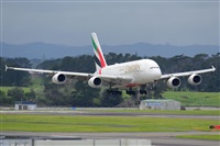 �Miguel A. �gueda Rguez.  (CANARY ISLANDS SPOTTING). Click to see full size photo