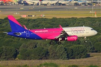 �Miguel A. �gueda Rguez.  (CANARY ISLANDS SPOTTING). Click to see full size photo