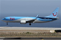 ©Alfonso Solís - Asociación Canary Islands Spotting. Click to see full size photo ©Alfonso Solís - Asociación Canary Islands Spotting. Click to see full size photo