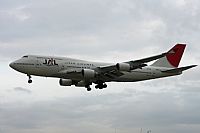Jos Miguel Bernases - Noisy Spotters. Click to see full size photo