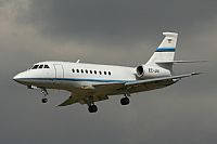 Jos Miguel Bernases - Noisy Spotters. Click to see full size photo
