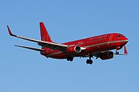Jos Miguel Bernases - Noisy Spotters. Click to see full size photo
