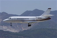 Jos Miguel Bernases - Noisy Spotters. Click to see full size photo