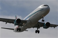 Javier G.M.. Click to see full size photo