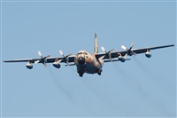 Moiss Surez-Canary Islands Spotting. Click to see full size photo