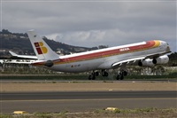 Miguel A. gueda Rguez.  (CANARY ISLANDS SPOTTING). Click to see full size photo