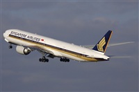 Jos Miguel Bernases - Noisy Spotters. Click to see full size photo