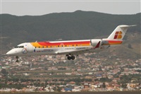 Alfonso Sols - Asociacin Canary Islands Spotting. Haz click para ampliar