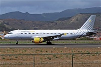 Miguel A. gueda Rguez.  (CANARY ISLANDS SPOTTING). Click to see full size photo