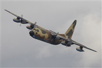 Ricardo Sanabria - AIRE.org. Click to see full size photo