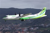 Nacho Rodriguez - Canary Islands Spotting. Click to see full size photo