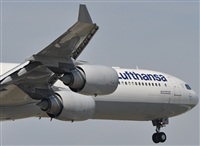 Rubn Gil - Noisy Spotters. Click to see full size photo