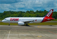 Frederico Cavalcante - Manaus Spotting Team. Click to see full size photo