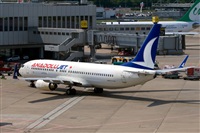 Javier de la Cruz - CANARY ISLANDS SPOTTING. Click to see full size photo