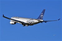 Miguel A. gueda Rguez.  (CANARY ISLANDS SPOTTING). Haz click para ampliar