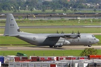 A. Raff-Lehner. Click to see full size photo