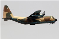 Adrin Alonso Lemes - Lanzarote Spotters. Click to see full size photo