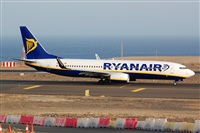 ©Luciano Fumero( freedom spotter)canary island spotting. Click to see full size photo ©Luciano Fumero( freedom spotter)canary island spotting. Click to see full size photo