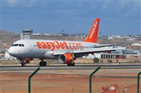 Miguel A. gueda Rguez.  (CANARY ISLANDS SPOTTING). Click to see full size photo
