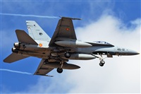 J. Victor Vega-Gran Canaria Spotters. Click to see full size photo