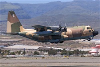 Bartolom Fernndez - Gran Canaria Spotters. Click to see full size photo