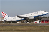 Miguel Alia - Noisy Spotters. Click to see full size photo