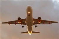 Saimon J Rodriguez   -   Canary Islands Spotting. Click to see full size photo