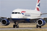 Miguel Alia - Noisy Spotters. Click to see full size photo