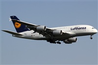 Rubn Gil - Noisy Spotters. Click to see full size photo